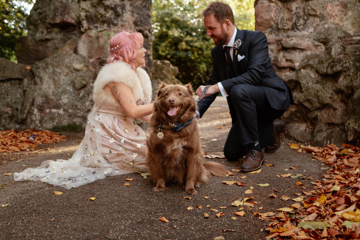 Bride and groom smiling at their happy golden dog wearing a bow tie at Arnot Hill Park in autumn.
