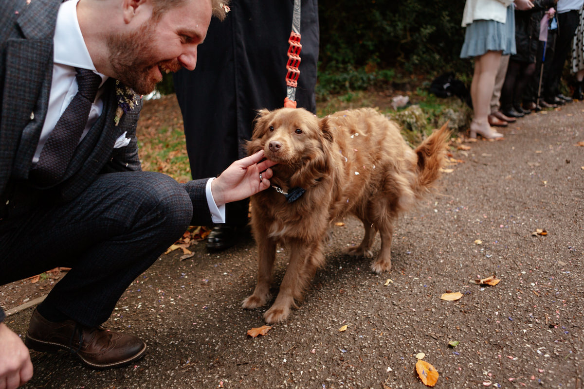 Groom in a plaid suit crouching to pet a golden dog wearing a bow tie at a wedding.