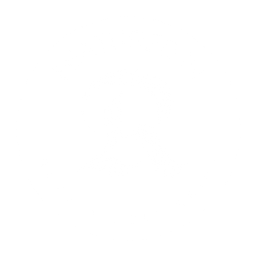 rock and roll bride magazine/blog featured in badge