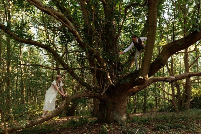 Two people on a large tree, one on a lower branch holding on and another higher up reaching down in a sunlit forest.